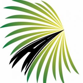 Carlos Calle Expresos Sas