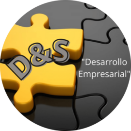 D & S Desarrollo Empresarial S.A.S.