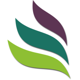 Grupo Palmadera S A S