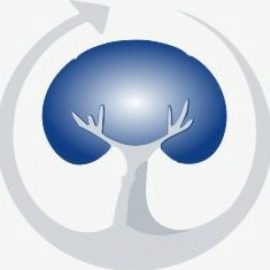 Fundación Prevrenal