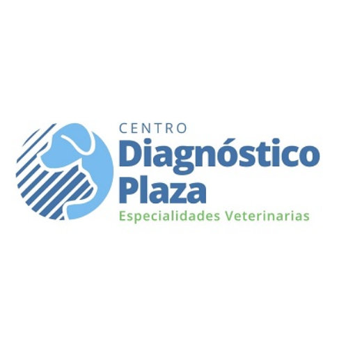 Diagnóstico Plaza