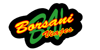 Borsani Viajes