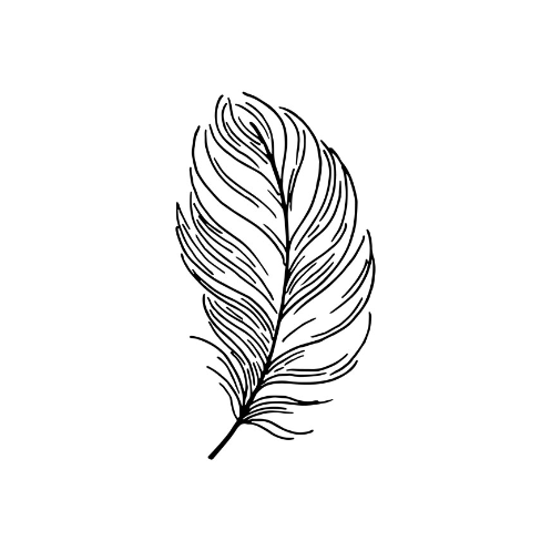 Dermatología Estética Nuva Skin