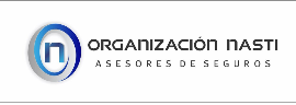 ORGANIZACIÓN NASTI