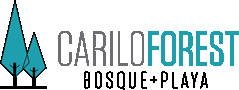 Carilo Forest