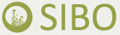 Sibo