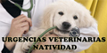 Urgencias Veterinarias Natividad