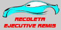 Recoleta Ejecutive Remis