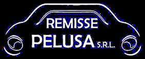 Remisse Pelusa SRL