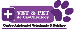 Vet & Pet