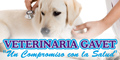 Veterinaria Gavet