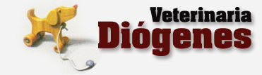 Veterinaria Diogenes
