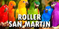 Roller San Martin