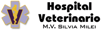 Hospital Veterinario - Mv Silvia Milei