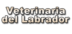 Veterinaria del Labrador
