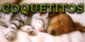 Coquetitos