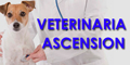 Veterinaria Ascension