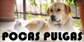Pocas Pulgas