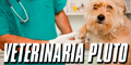 Veterinaria Pluto