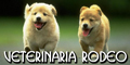 Veterinaria Rodeo
