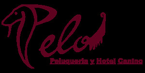 Pelo - Peluqueria Especializada