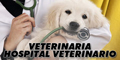 Veterinaria - Hospital Veterinario