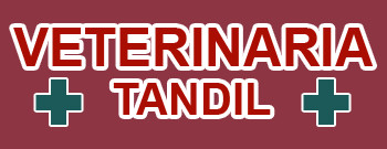 Clinica Veterinaria Tandil
