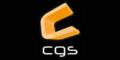 Cgs Consulting