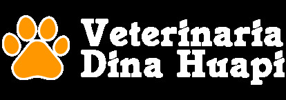 Veterinaria Dina Huapi