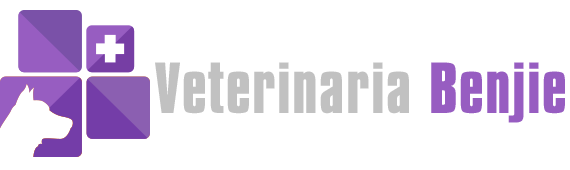 Veterinaria Benjie