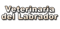 A Veterinaria del Labrador - Atencion 24 Hs