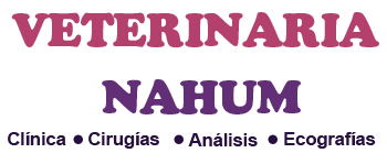 Veterinaria Nahum Clinica - Internaciones