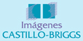 Castillo Briggs Imagenes