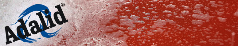 Adalid Sucesores de Miguel Angel Mussi SRL