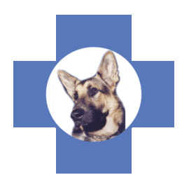 Clinica Veterinaria Patricios