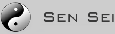 Sensei Soluciones y Servicios