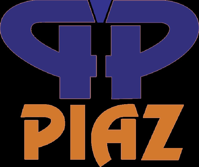 Piaz Conveyor Components