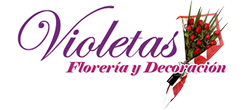 Floreria Violetas