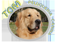 Veterinaria y Peluqueria Tom