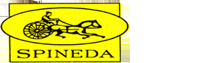 Spineda