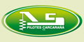 Pilotes Carcaraña SA