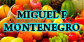 Miguel F Montenegro