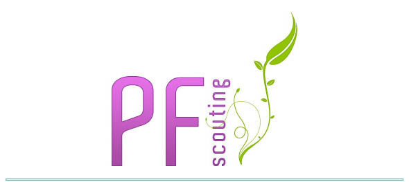 Pf Scouting