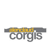 Alenclaud - Collies & Corgis