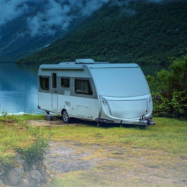 Dogos Argentinos del Ayui Blanco