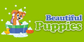 Beautiful Puppies