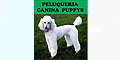 Peluqueria Canina Puppys