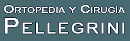 Cirugia y Ortopedia Pellegrini