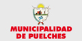 Municipalidad de Puelches