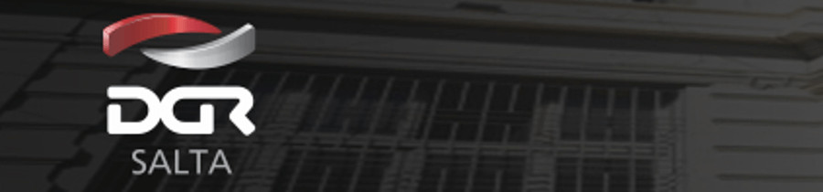 Consejo Profesional de Ciencia Economicas de Salt